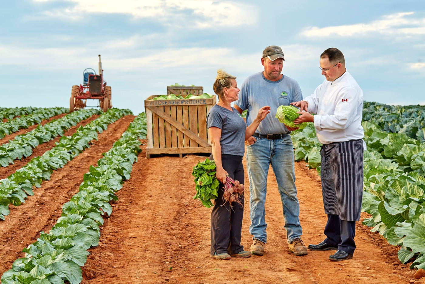 Chef with two family famers in cabbage field with tractor in background